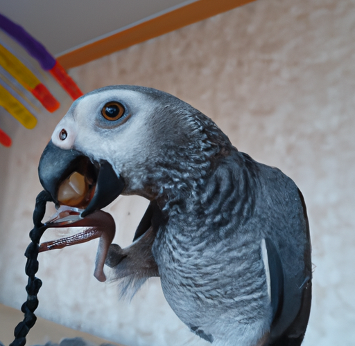 Kreatywne pomysły na zabawki dla papug falistych