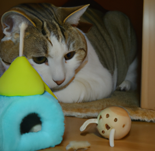 Pokaż kotku co masz w środku – odkryj zalety zabawki